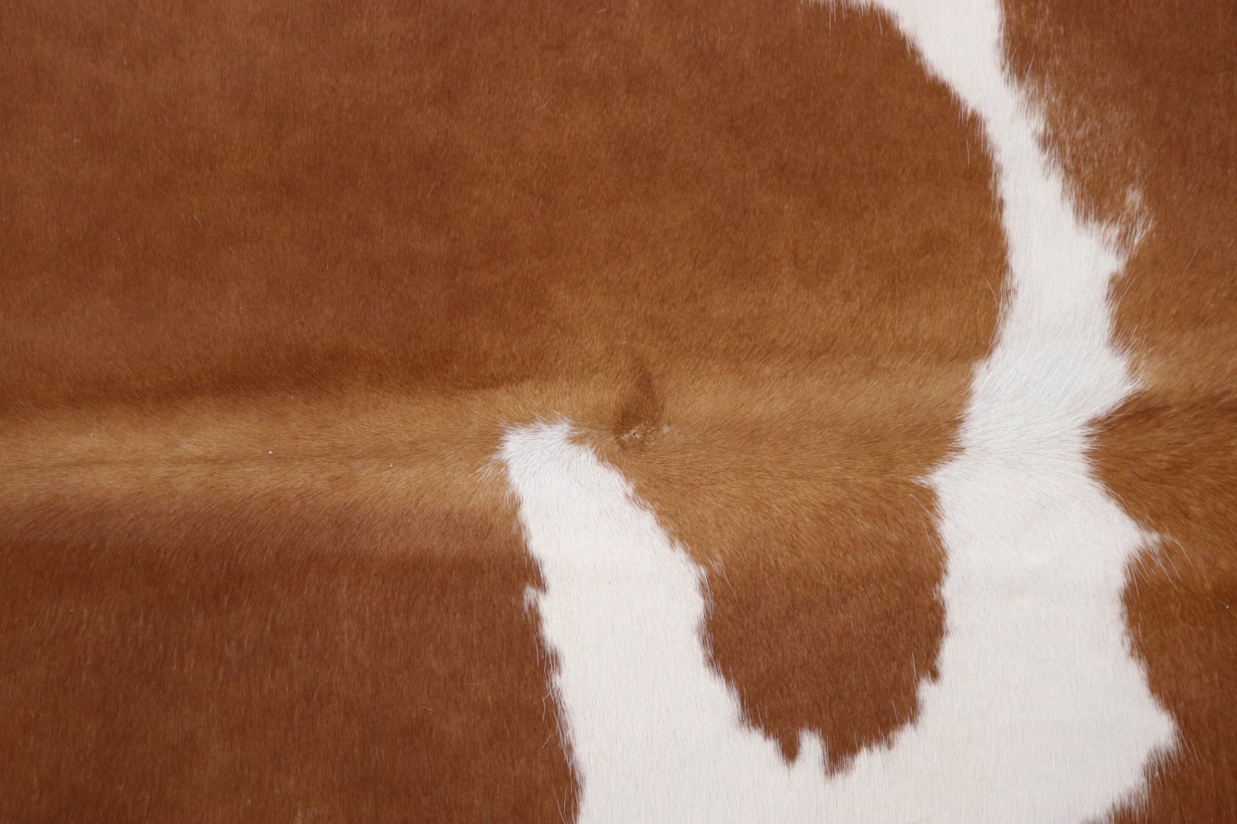 Tapete de Couro Formatado TAMANHO [1,94X1,75]