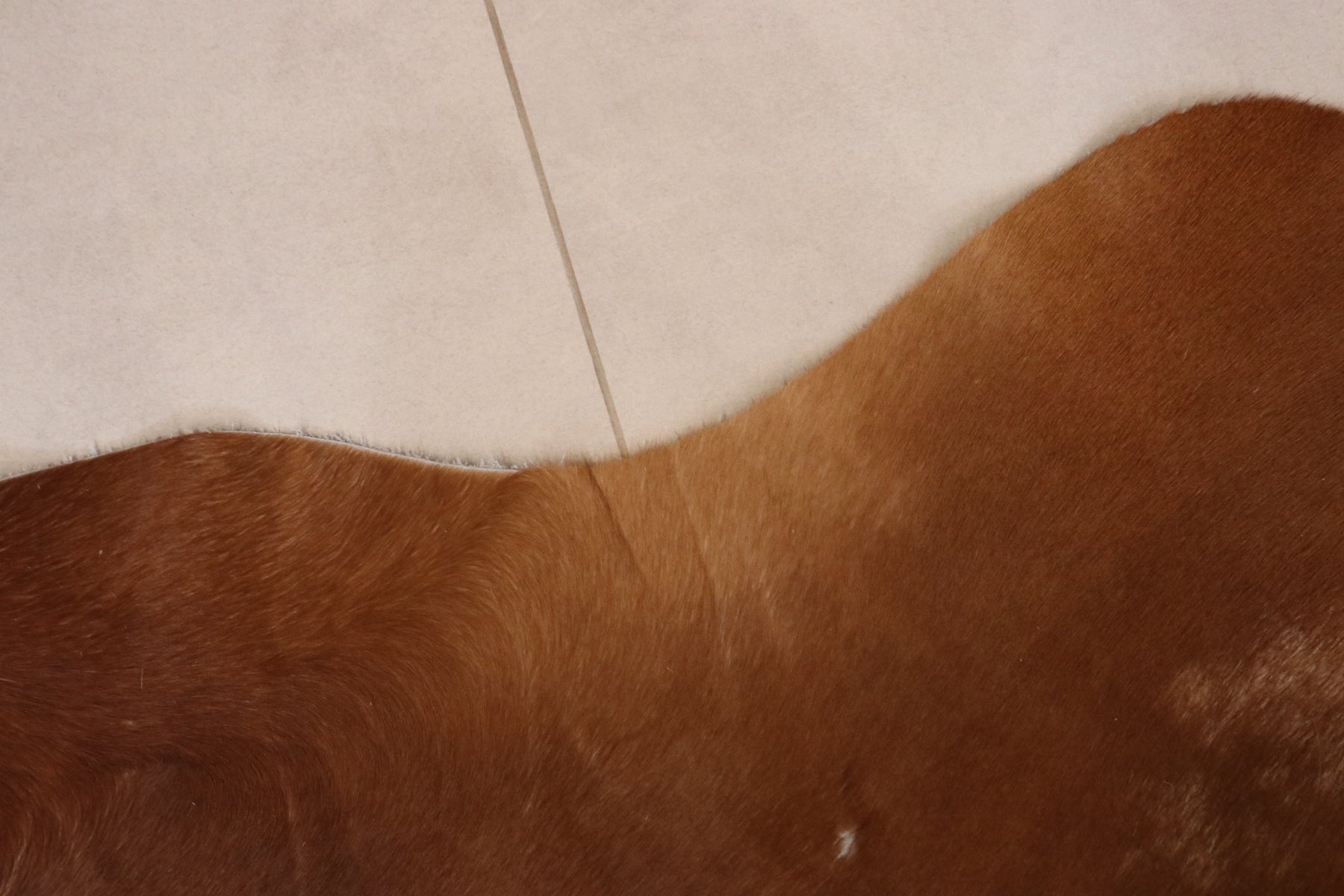 Tapete de Couro Formatado TAMANHO [1,94X1,75]