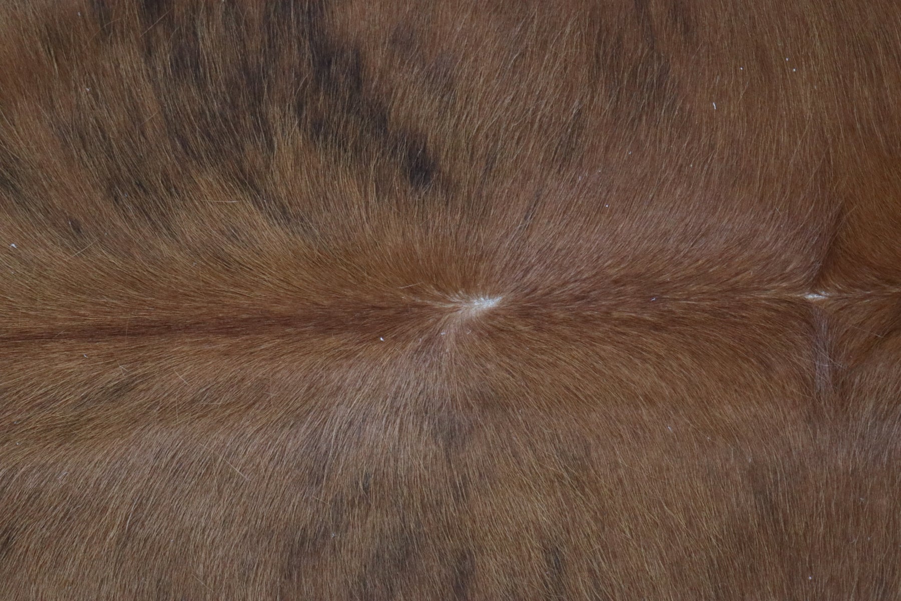 Tapete de Couro Formatado TAMANHO [2,07X2,00]