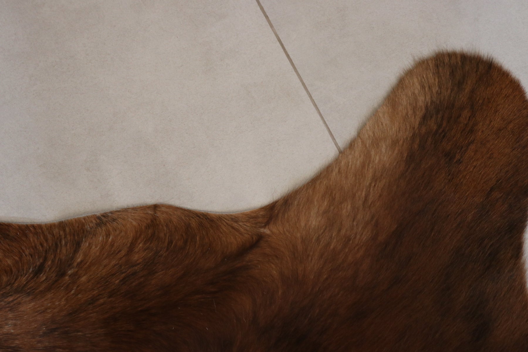 Tapete de Couro Formatado TAMANHO [2,07X2,00]