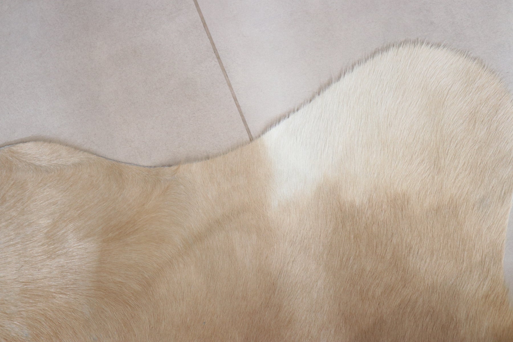 Tapete de Couro Formatado TAMANHO [2,20X1,90]