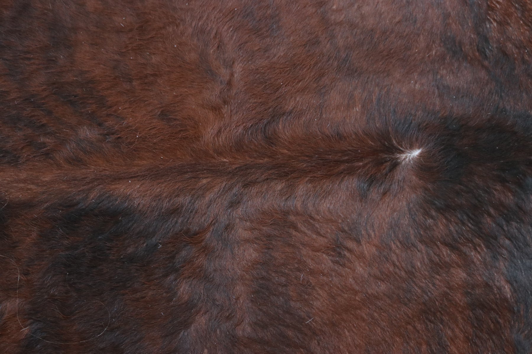 Tapete de Couro Formatado TAMANHO [2,00X2,00]