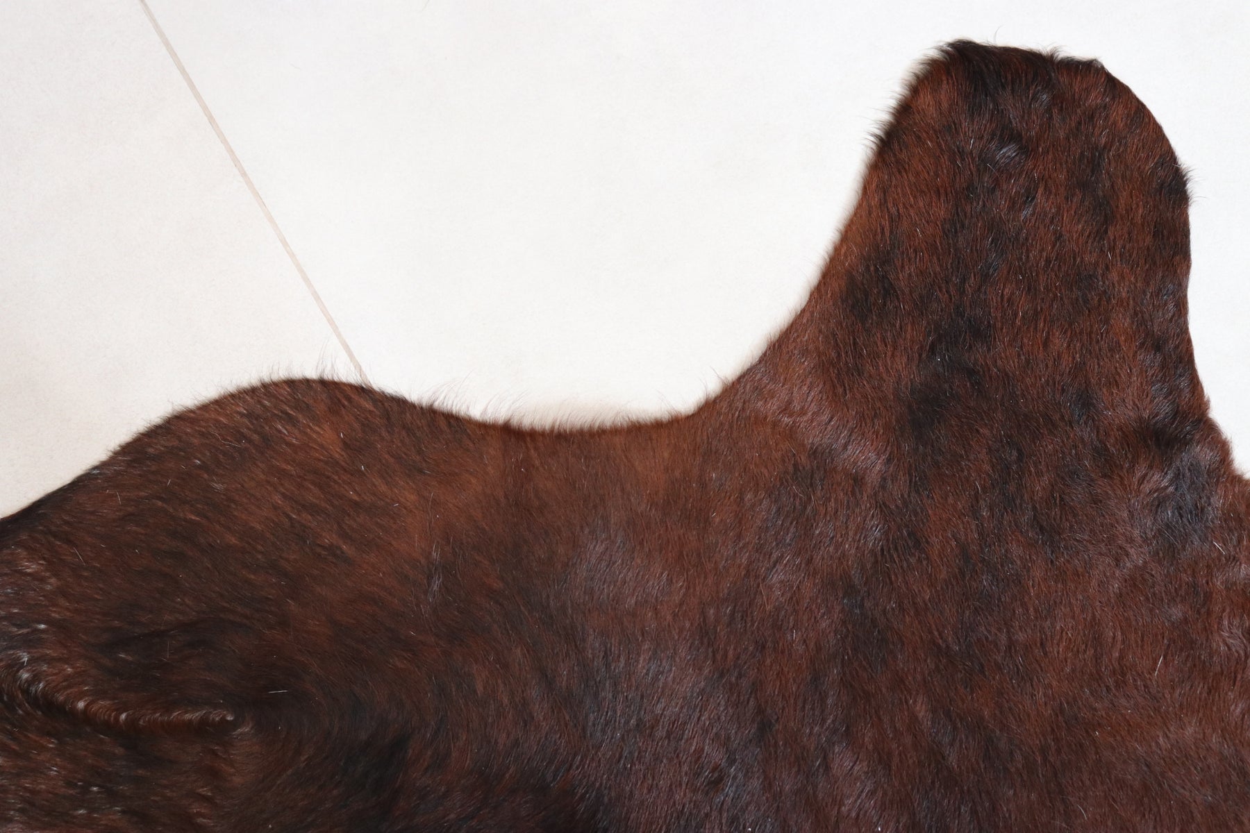 Tapete de Couro Formatado TAMANHO [2,00X2,00]