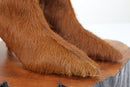 Bota Cali 3cm - 35