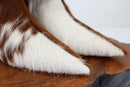 Bota Mali 3cm - 38