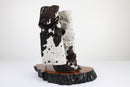 Bota Moscou 37