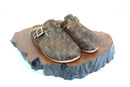 Clog 36
