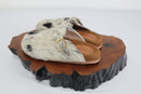 Clog 37
